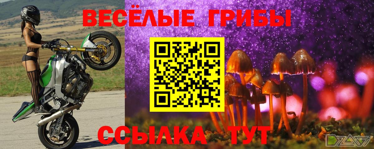 Псилоцибиновые грибы GOLDEN TEACHER  Вход с VPN  Нижний Тагил  Псилоцибиновые грибы прущие грибы 
